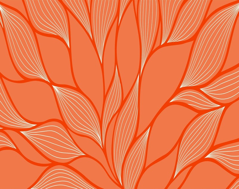 Floral Illustrations