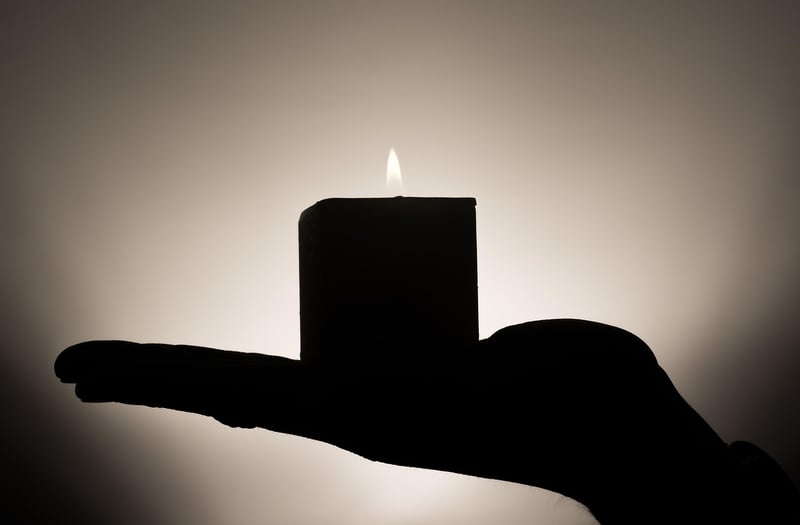 Plant-Themed Candle Holder